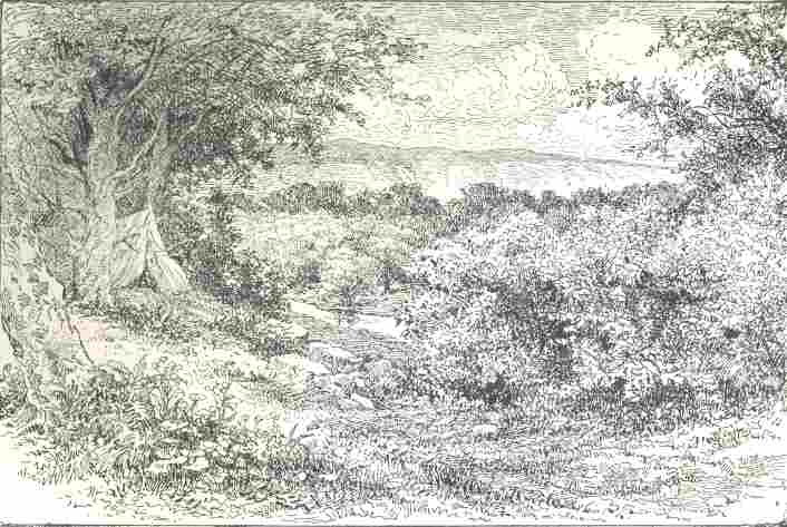 Mumber Lane (Mumper&rsquo;s Dingle)