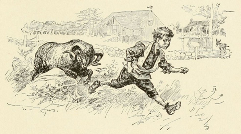 "WHY, HE WAS ALL OVER THAT PASTURE QUICKER'N YOU COULD
WINK!"