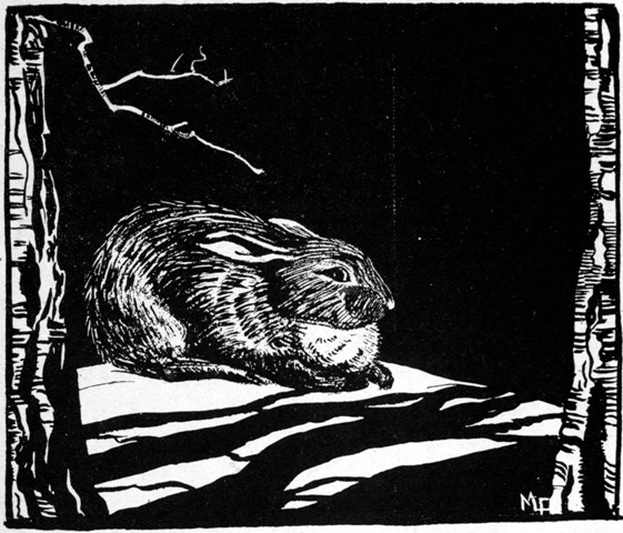 HE SAT VERY QUIET, WAITING FOR THE MAN OF THE LONG FOOT
TO APPEAR