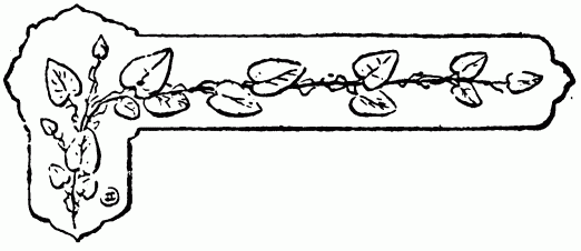 barra decorativa cap�tulo XIX