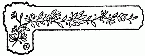 barra decorativa cap�tulo XXI