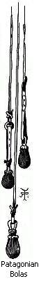 Patagonian bolas
