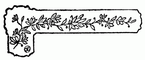 decoraci�n no disponible