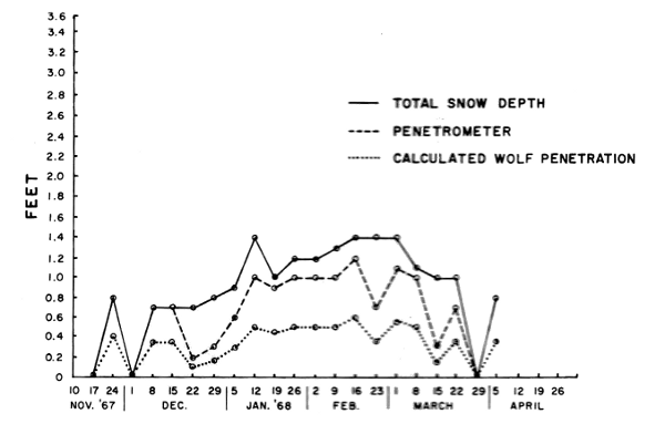 Figure 2.&mdash;Snow depth and penetrability by deer
and wolves near Isabella, Minnesota, 1967-68.