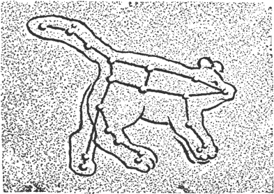 The &ldquo;great bear&rdquo; was done