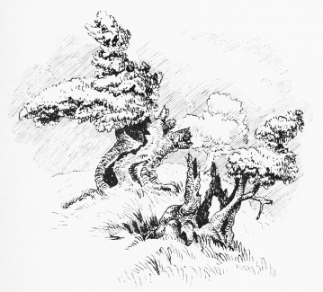 OLD OLIVE TREES&mdash;NEAR TALAVERA.