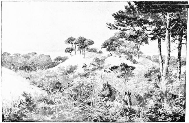 Plate XLIV.

SALAVAR&mdash;A SKETCH IN A SPANISH MANCHA.

Page 369.