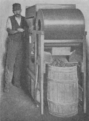 Fig. 48.&mdash;Winnowing and Barreling
Cranberries.