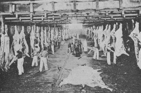 Fig. 11.&mdash;Dressing Beef.