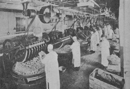 Fig. 15.&mdash;Chopping Sausage Meat.