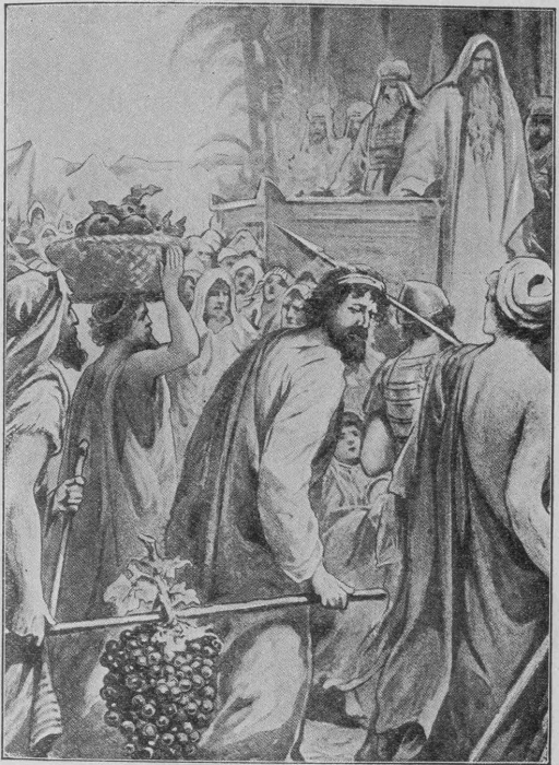 A bunch of grapes that took
two men to carry it.