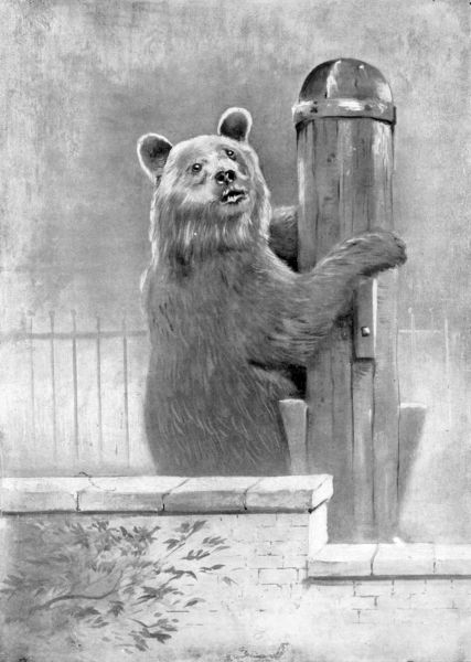 "ANDR�E, INDEED! I WAS THERE LONG AGO!"
From the Painting by T. C. Hepworth.