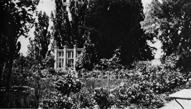 LE JAS DE BOUFFAN

(La Serre)

PHOTO DE L’AUTEUR