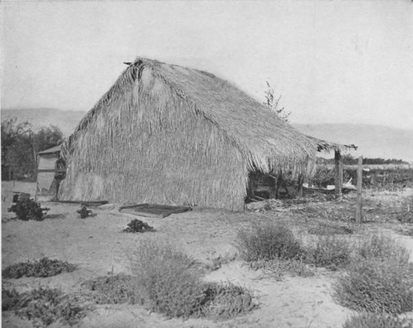 AN OASIS DWELLING THATCHED WITH PALM LEAVES IN COLORADO
desert
This might pass for a cannibal's hut in the South Sea Islands