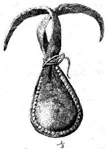 Fig.
433.&mdash;Bag containing hoddentin.