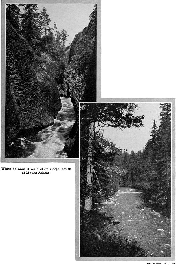 White Salmon River and its Gorge, south
of Mount Adams. PHOTOS COPYRIGHT, KISER