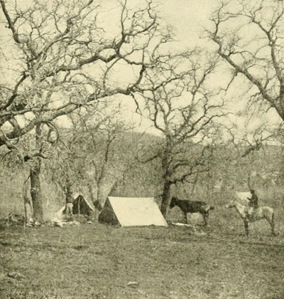 Camp at Oak Spring,
Uinkaret Mountains.