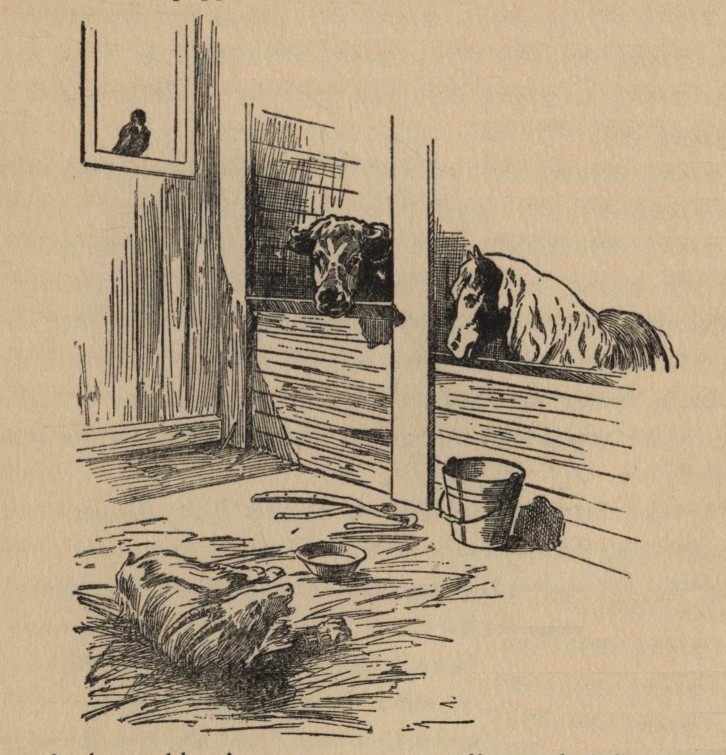 After a long nap, Billy woke up.