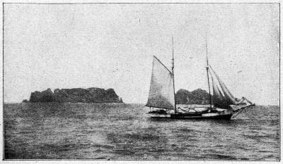 Die &raquo;Moa&laquo; vor Curtis-Island