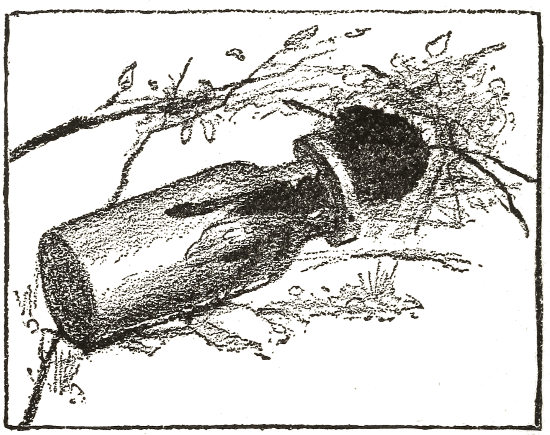 I found that the best method
  to secure the wily Tarantula was to procure a supply of live Bumble-bees