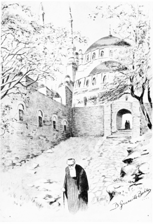 The Mosque of Mohammed

Built to commemorate the Conqueror of Constantinople. He lies buried
under the shadow of this Mosque.