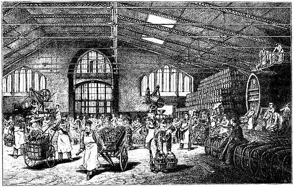 Pommery and Greno&rsquo;s Cellier