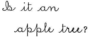 Cursive: Is it an
apple tree?
