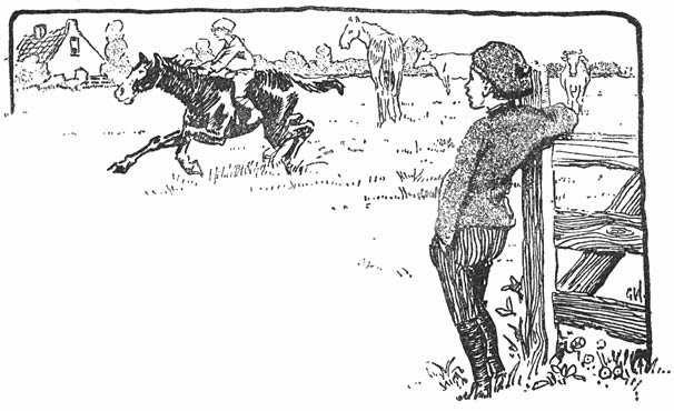 Ze hadden &rsquo;t verbazend druk met paarden.