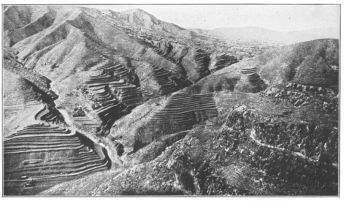 Rice Terraces in China. In many regions where the forests
have been destroyed and all the soil washed into the valleys,
agriculture has to be carried on under conditions of great difficulty.
Soil is brought up these slopes and held there by the artificially made
terraces. (Photo by Bailey Willis. Courtesy of Brooklyn Botanic
Garden.)