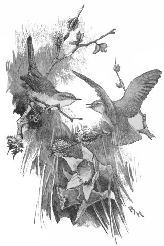 Pipi looked up and saw Flip; in an instant they were
together.&mdash;P. 205.