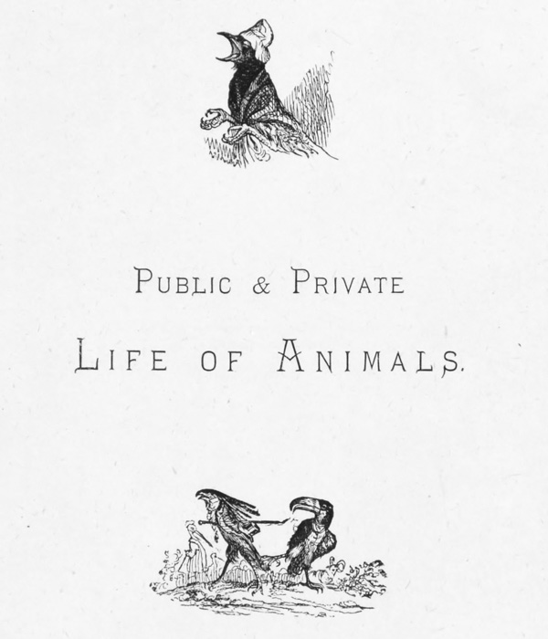 
Public & Private
Life OF Animals.