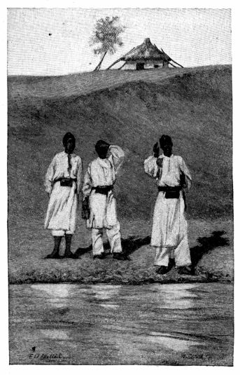 [Image unavailable.]