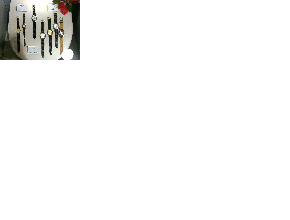 �R�[�X�ʎ��v�ʐ^