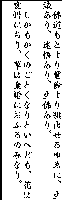 ��ʃL���v�`��