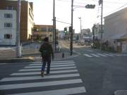 �Ԗ�₳��ʐ^