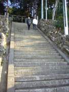 �Ԗ�₳��ʐ^